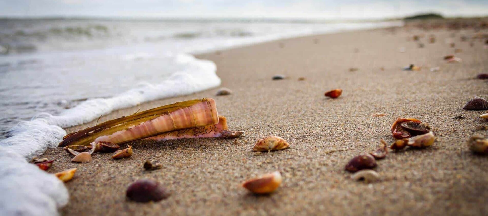 Working On Mega Yachts & Sailboats