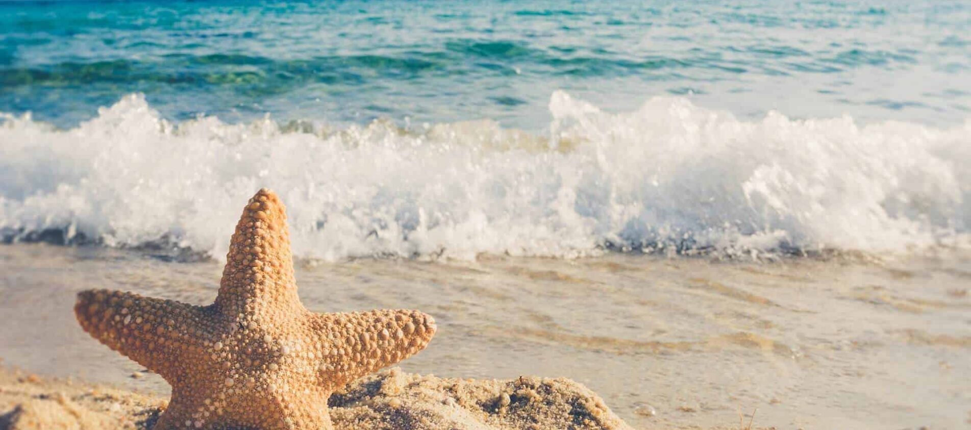 How To Find Cheap Travel Accommodation