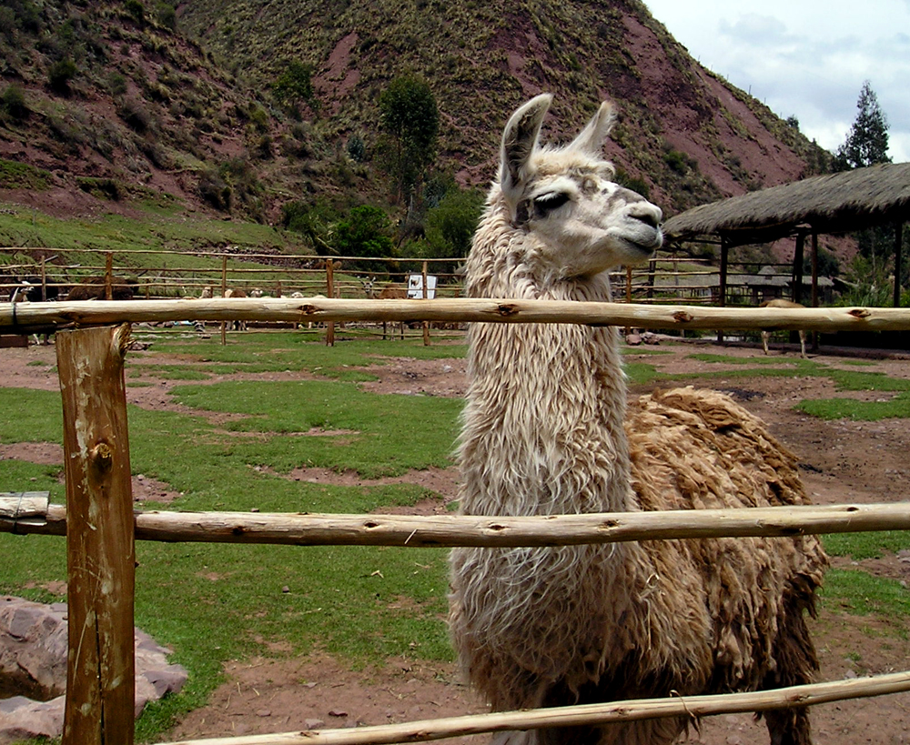 South American bucket-list guided adventure