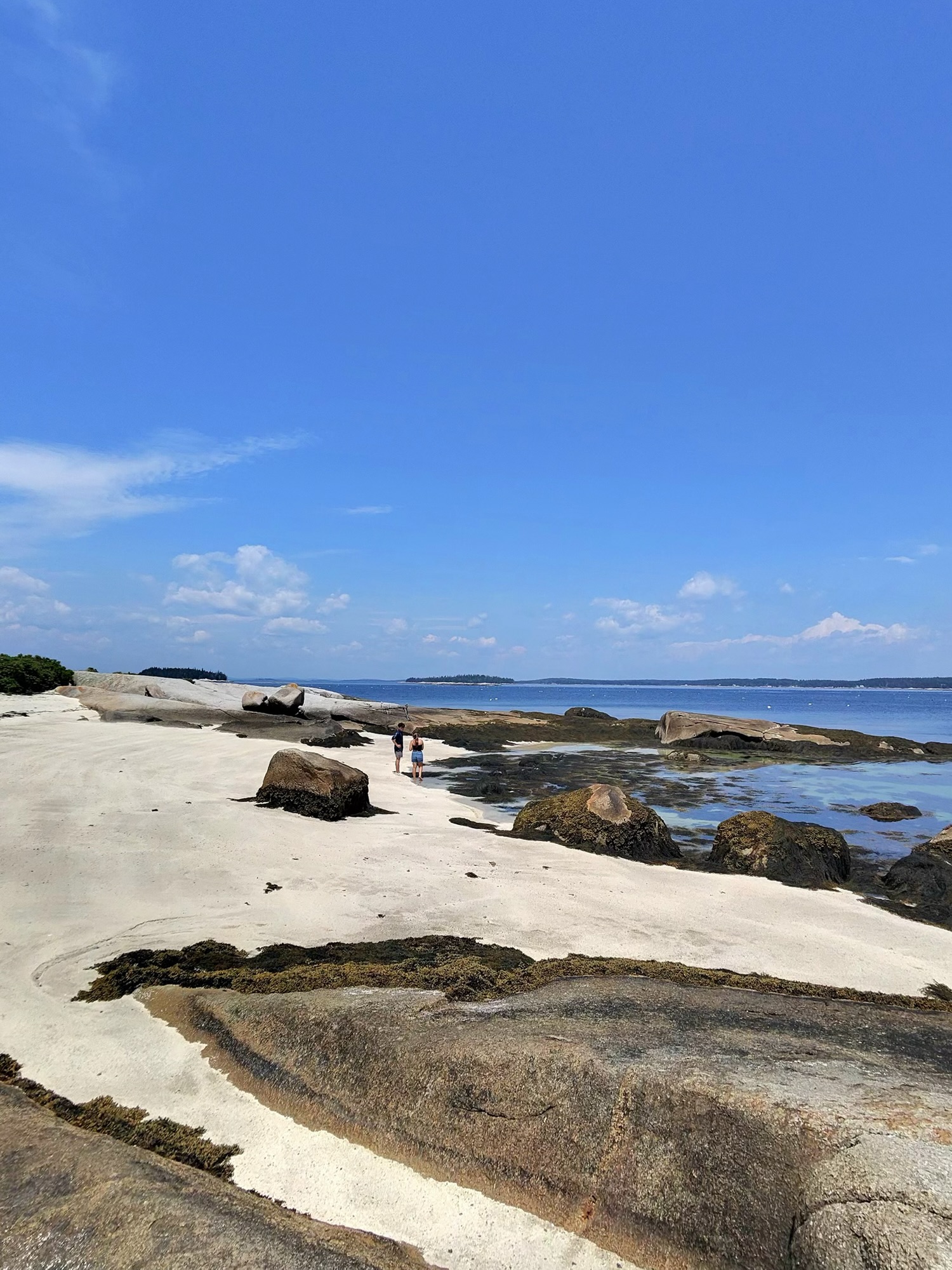 Coastal Maine