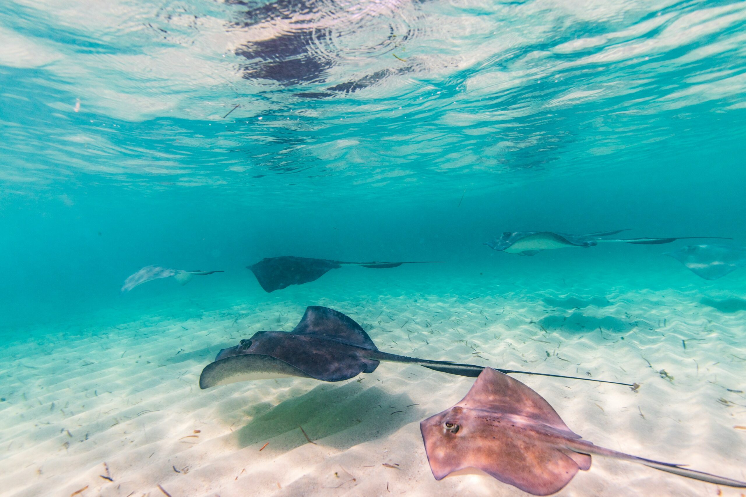 Bimini Bahamas turquoise water